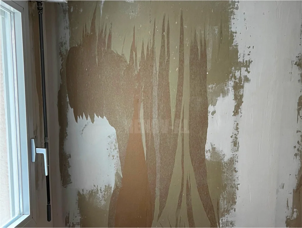 Enduits mur chambre avant